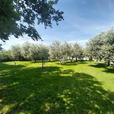 Villa Wellnes - Hacienda Matea Pula
