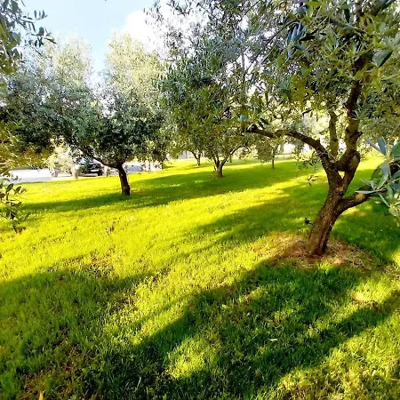 Hacienda Matea, An Oasis Of Romance Near The Beaches, Surrounded By Olive Trees, Pool, Jacuzzi, Playground, Istria