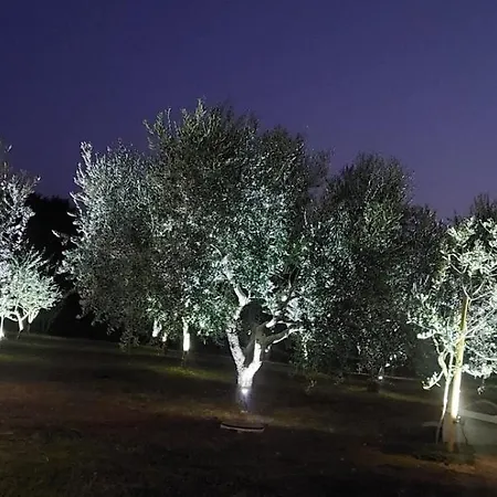 Hacienda Matea, An Oasis Of Romance Near The Beaches, Surrounded By Olive Trees, Pool, Jacuzzi, Playground, Istria וילה *