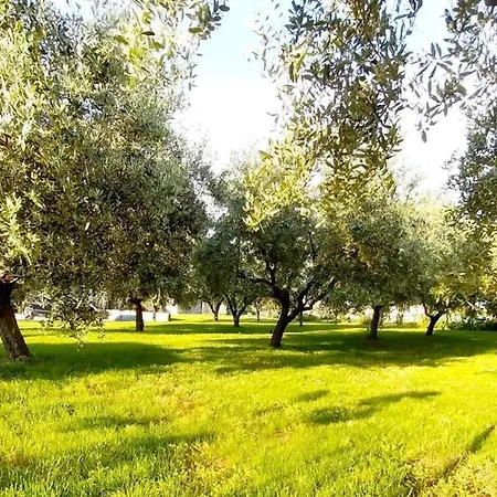 Hacienda Matea, An Oasis Of Romance Near The Beaches, Surrounded By Olive Trees, Pool, Jacuzzi, Playground, Istria Pula